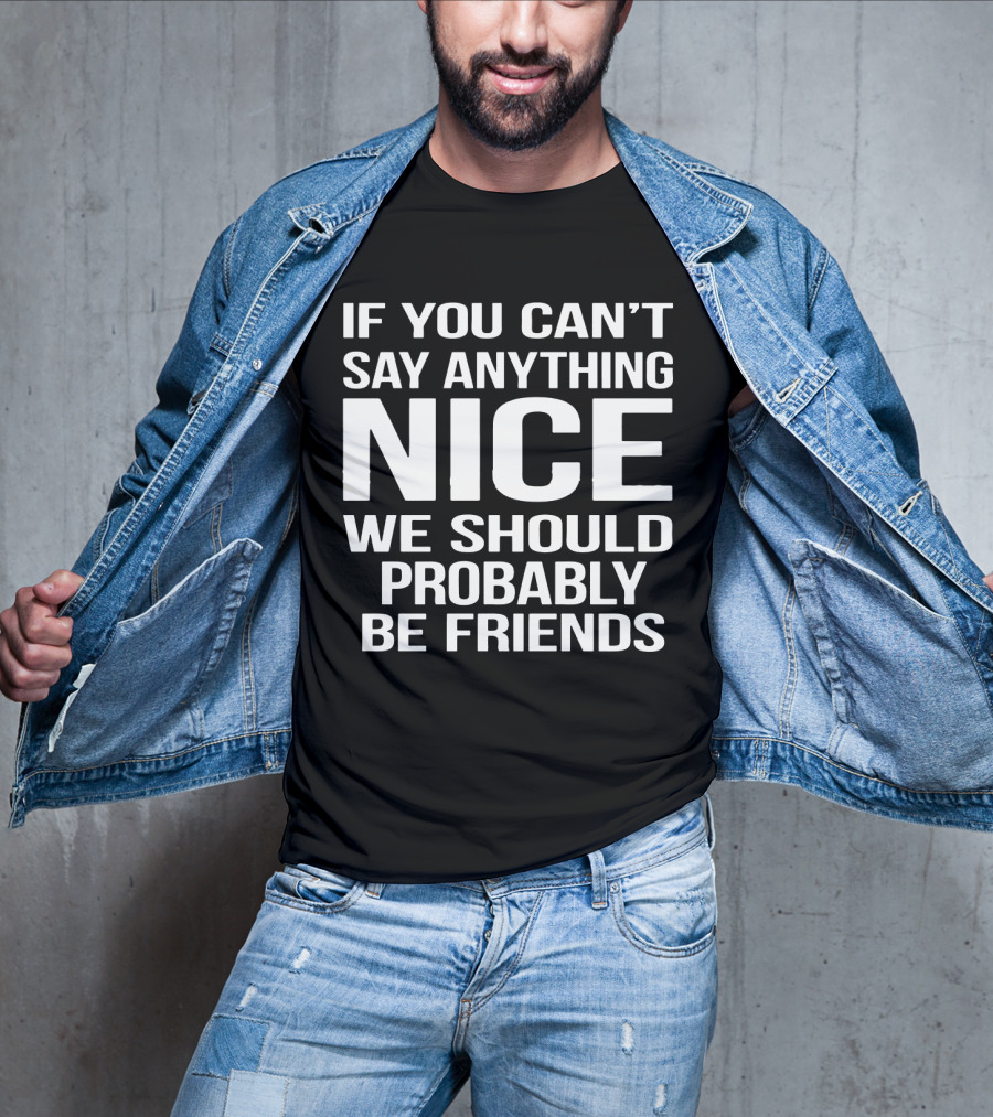 If You Can't Say Anything Nice We Should Probably Be Friends T-Shirt