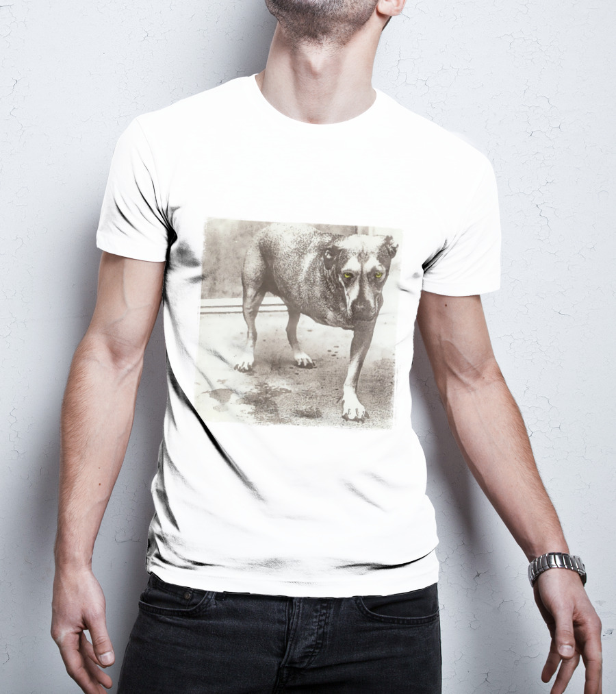Dog With Yellow Eyes Aic T-Shirt