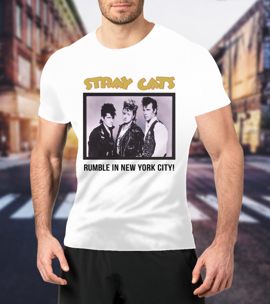 Stray Cats Rumble In New York City T-Shirt