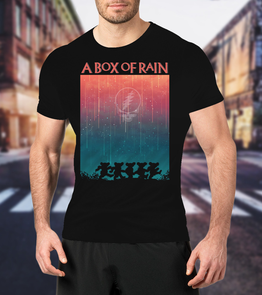 A Box Of Rain Grateful Dead Dancing Bears Steal Your Face T-Shirt