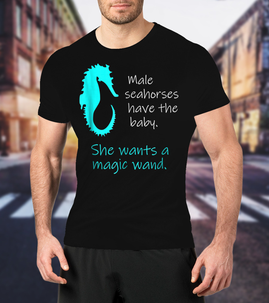 Male Seahorses Have The Baby She Wants A Magic Wand Dad To Be Maternity Tee96 T-Shirt