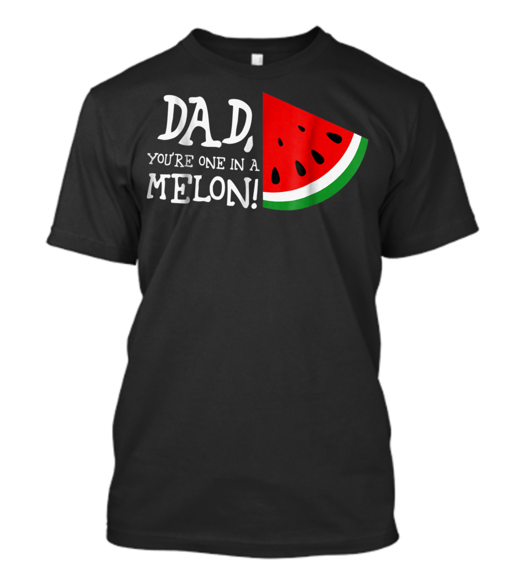 Dad You're One In A Melon Summer Tropical Fruit Watermelon Slice T-Shirt