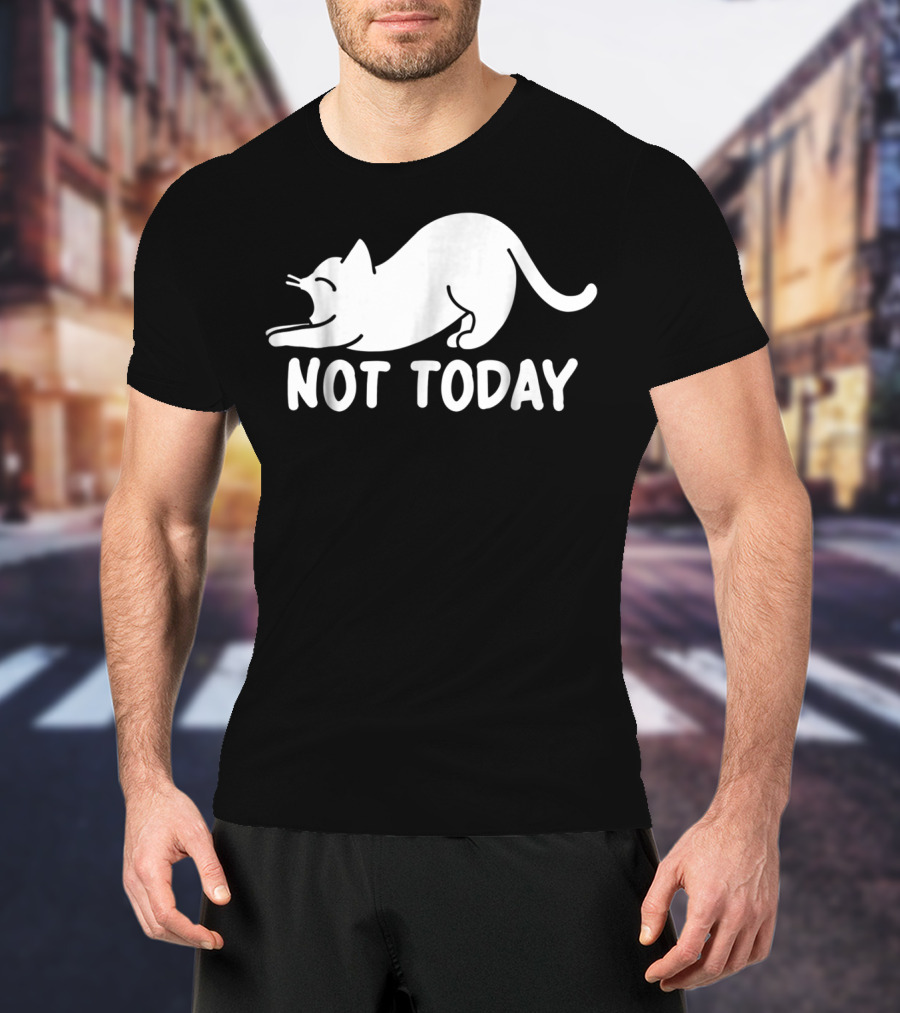 Lazy Cat Not Today Cat Lovers Cat Lady Cat T-Shirt