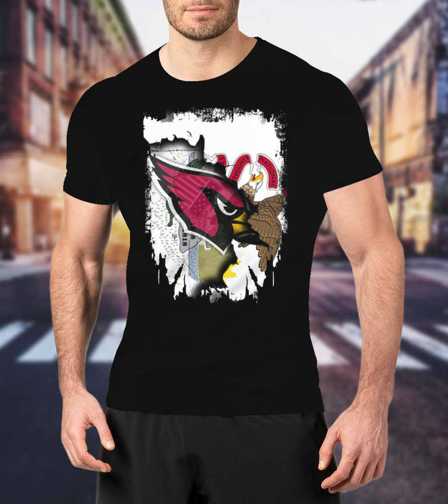 Illinois Pride With Fierce Cardinals Unity T-Shirt