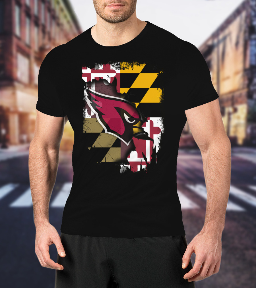 Together Maryland Cardinals With Maryland Flag Background T-Shirt