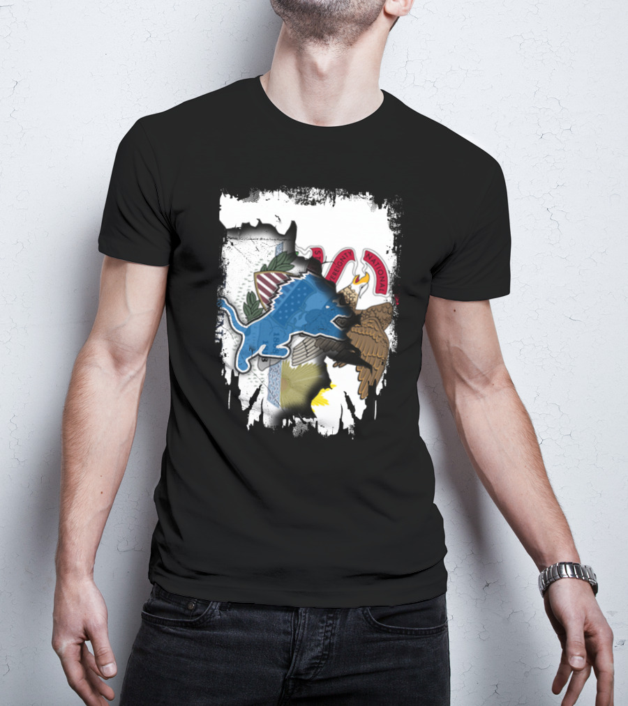Detroit Lions Meet Illinois State Seal Strength Unity T-Shirt
