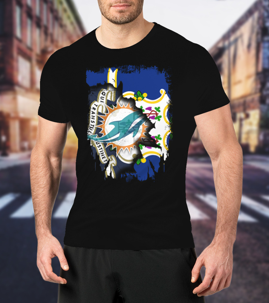 Connecticut State Flag Merged With Miami Dolphins T-Shirt