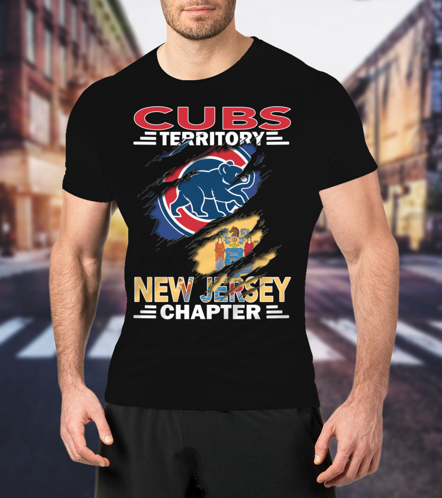 Cubs Territory New Jersey Chapter Breakthrough Emblem With State Flag And Bear T-Shirt