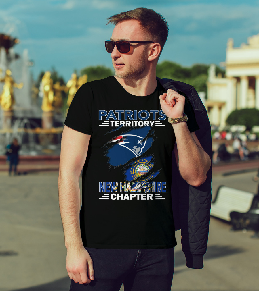 Patriots Territory New Hampshire Chapter Logo With New England Flag And State Seal T-Shirt