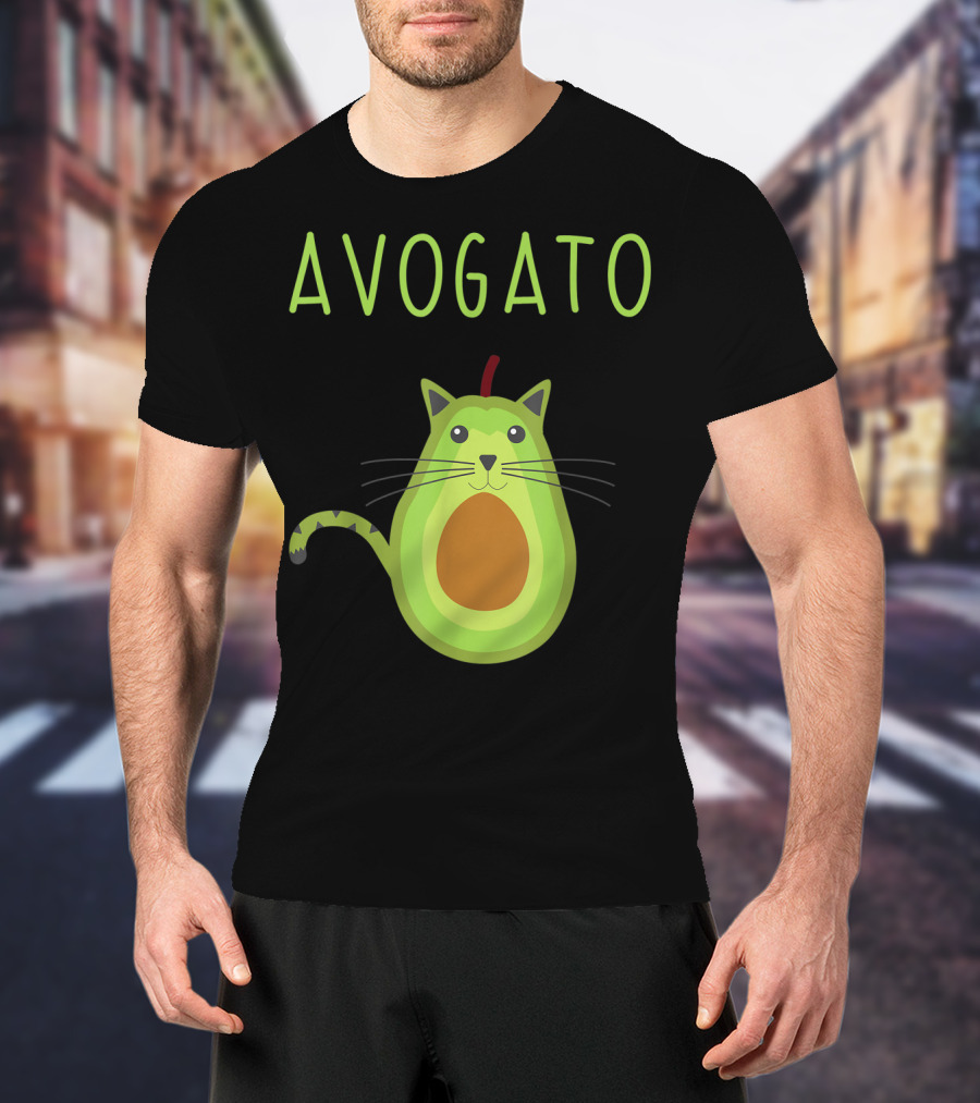 Cinco De Mayo Cinco De Meow Avogato Cat Avocado Kitty T-Shirt