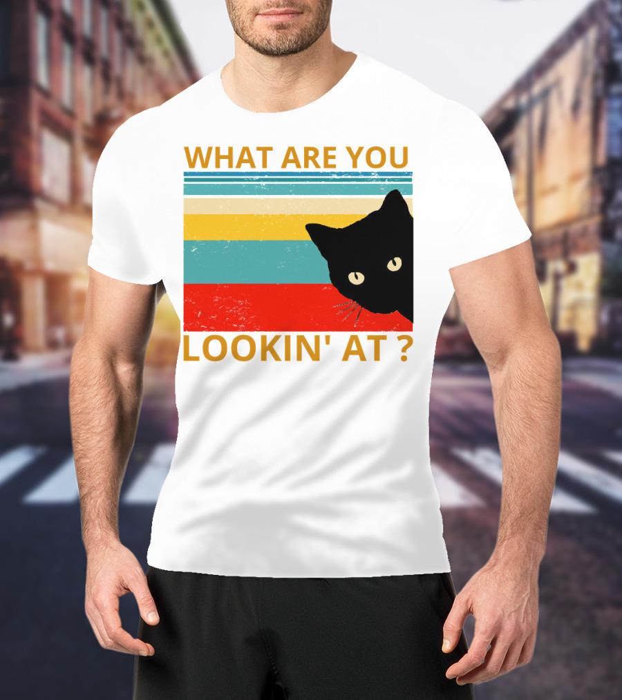What Are You Lookin' At Black Cat Vintage Stripes T-Shirt