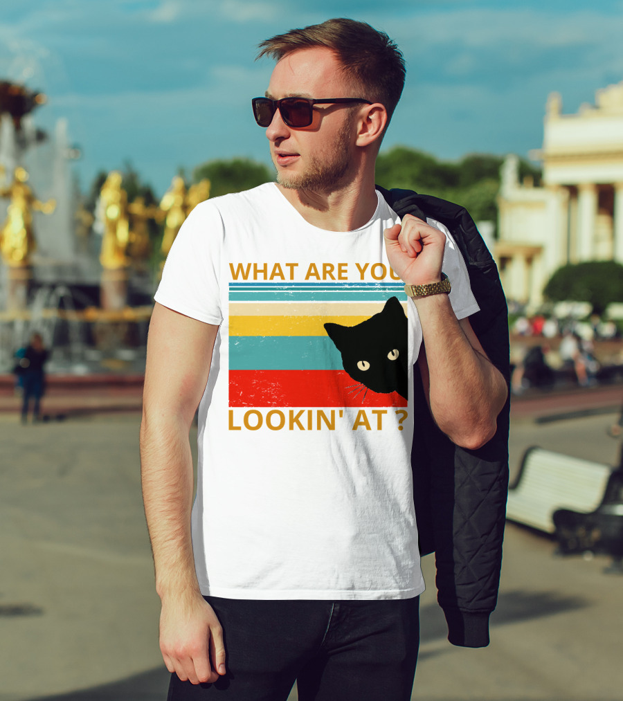 What Are You Lookin' At Black Cat Vintage Stripes T-Shirt