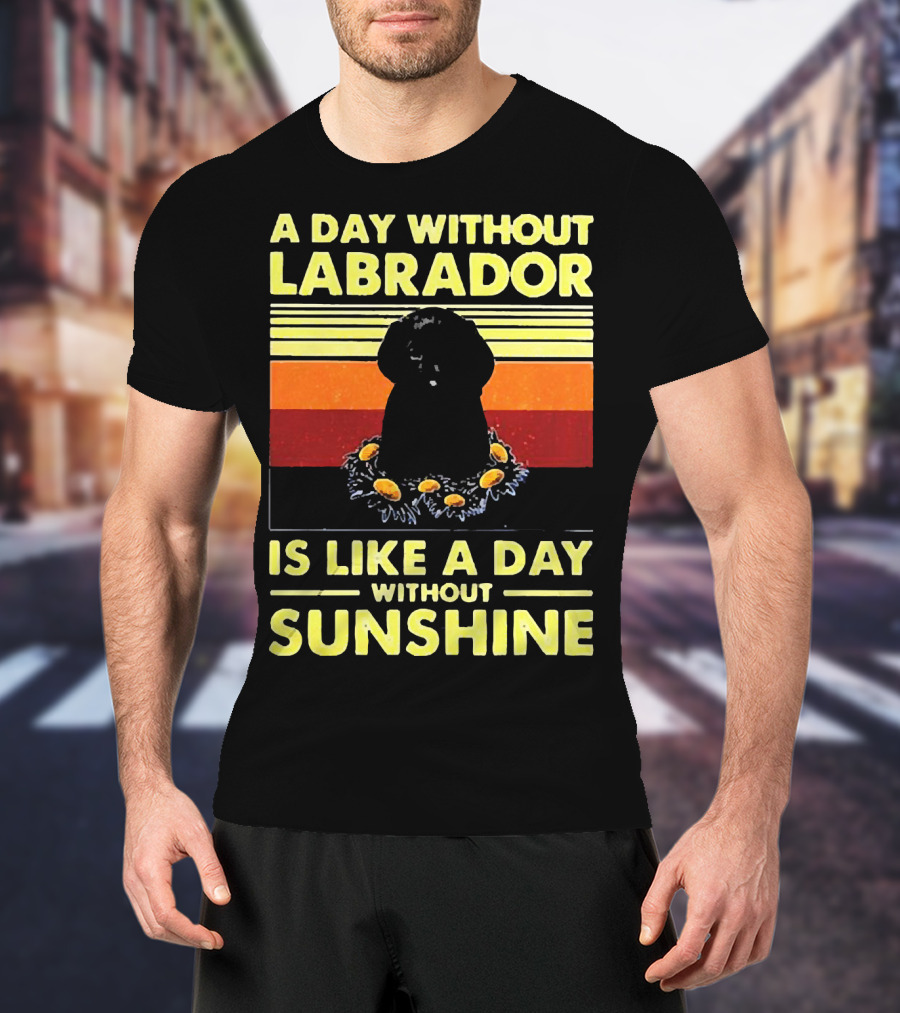 A Day Without Labrador Is Like A Day Without Sunshine Retro Sunset T-Shirt