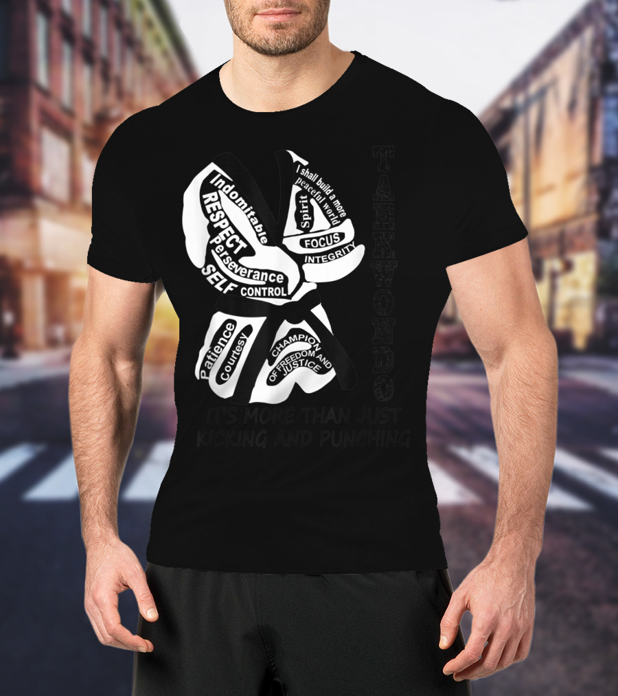 Taekwondo More Than Just Kicking And Punching Respect Perseverance Self-Control Integrity T-Shirt