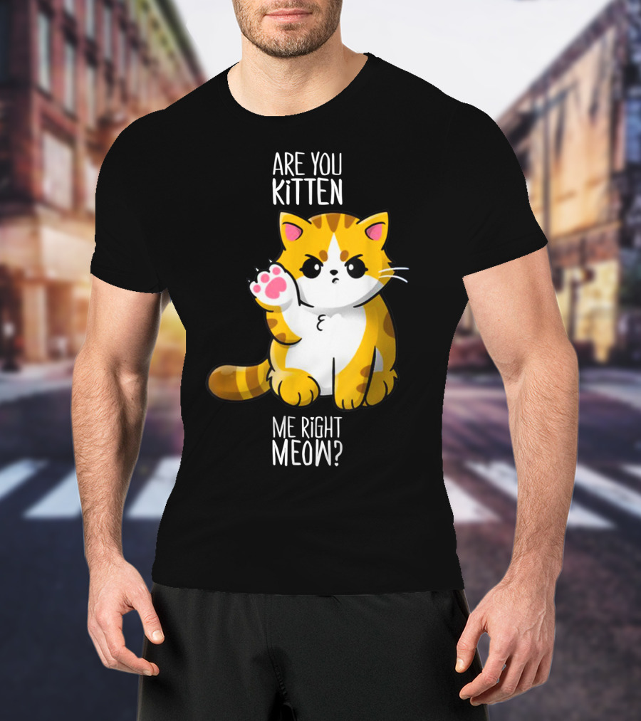 Are You Kitten Me Right Meow Cute Kitty T-Shirt