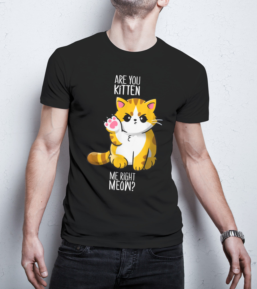 Are You Kitten Me Right Meow Cute Kitty T-Shirt