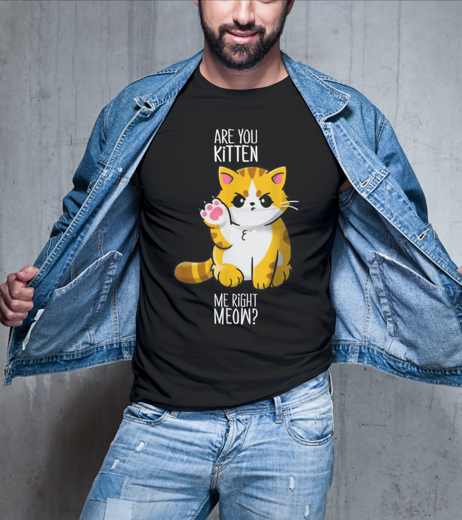 Are You Kitten Me Right Meow Cute Kitty T-Shirt