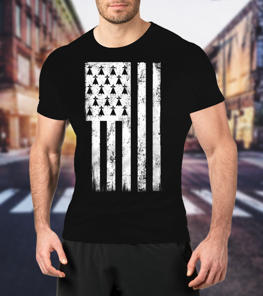 Bretagne Flag Distressed Bretagne Region Of France T-Shirt