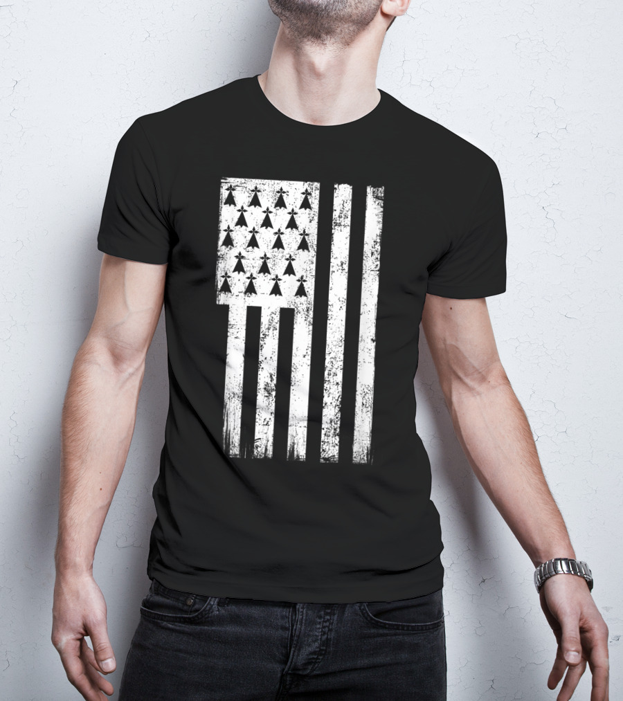 Bretagne Flag Distressed Bretagne Region Of France T-Shirt
