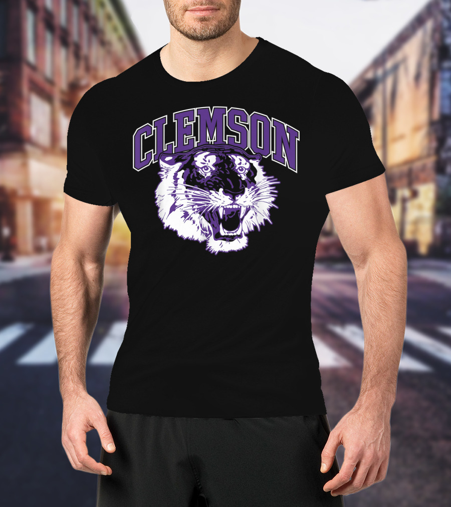 Clemson Tiger Vintage South Carolina Sports T-Shirt