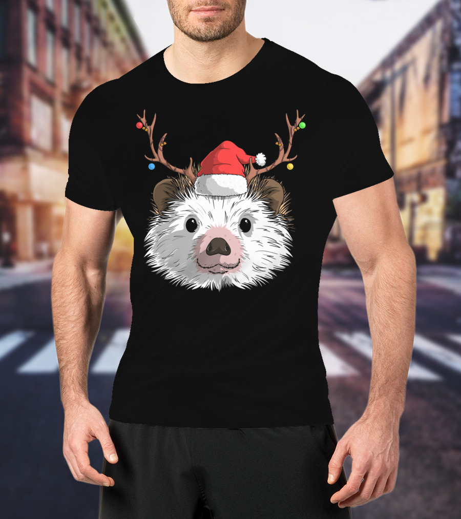 Hedgehog Santa Claus Hat Antlers Christmas Holiday T-Shirt