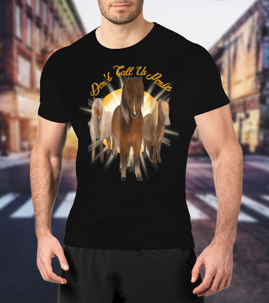 Don't Call Us Ponies Funny Cute Miniature Horse Trio Sunburst T-Shirt