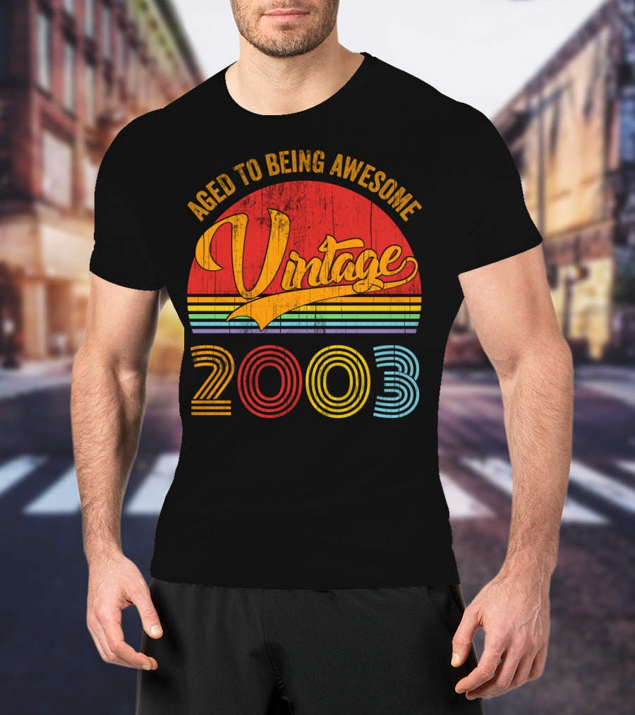 Aged To Being Awesome Vintage 2003 Rainbow T-Shirt