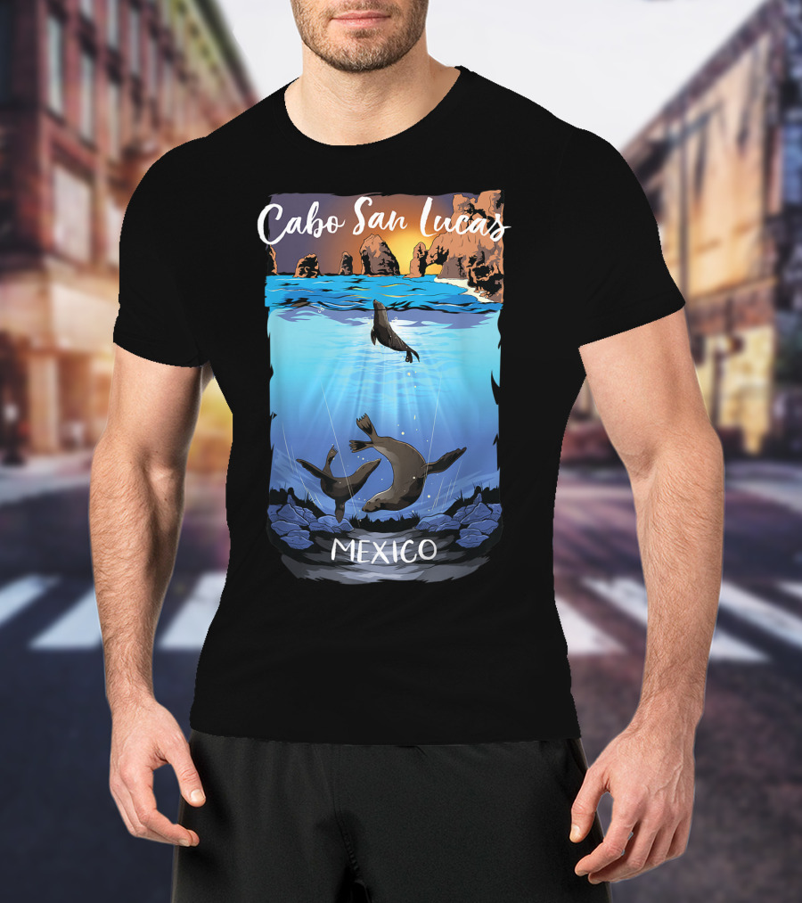 Cabo San Lucas Mexico Seals Ocean Rocks T-Shirt