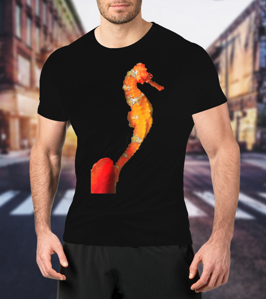 Beautiful Orange And Yellow Swimming Seahorse Figure T-Shirt