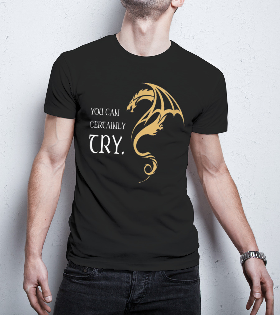 You Can Certainly Try Dragon Fire Dungeons Fantasy T-Shirt