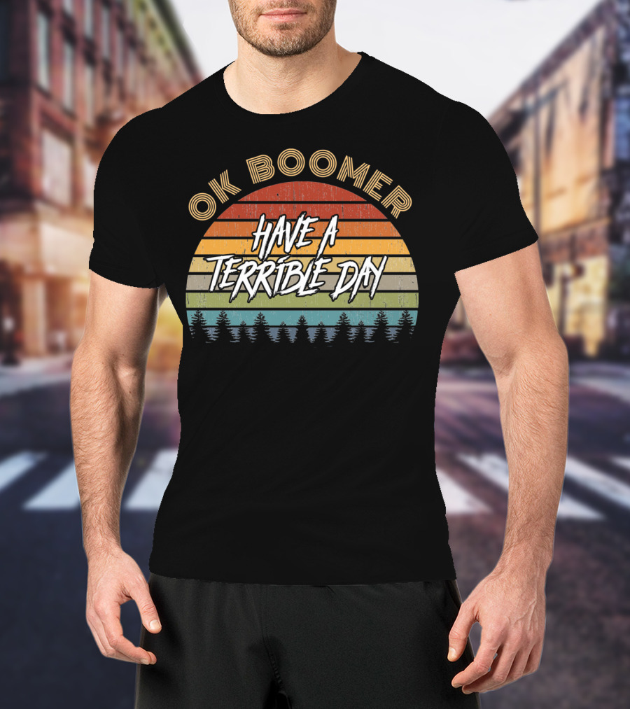 Retro Vintage Sunset Ok Boomer Have A Terrible Day T-Shirt