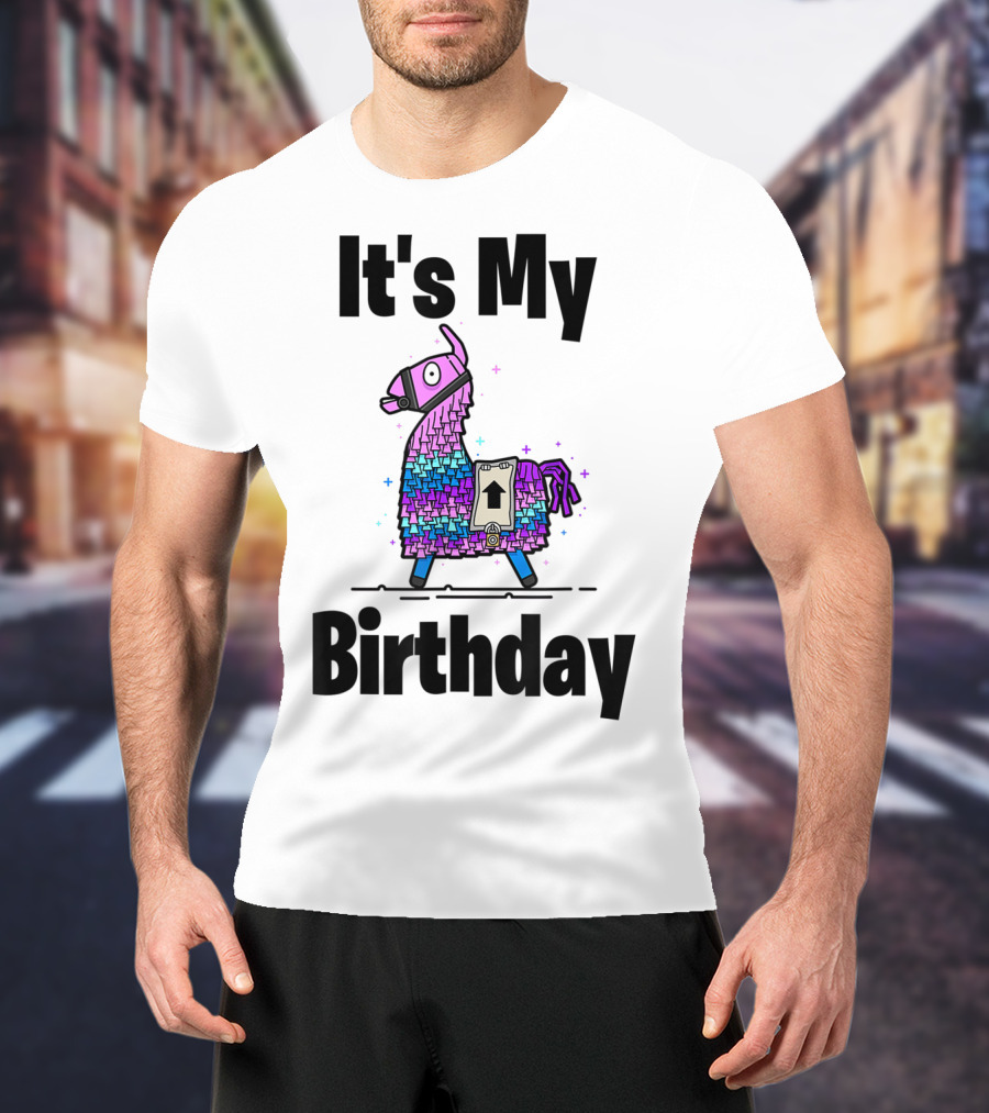 It's My Birthday Llama Purple Gamer Bday Gaming T-Shirt