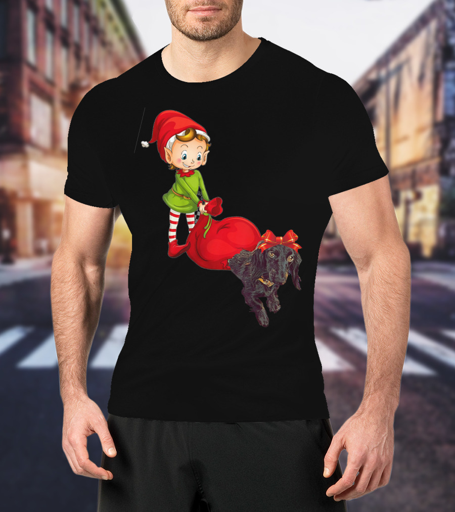 Kids Elf With Red Gift Sack And Black Dog In Santa Hat T-Shirt