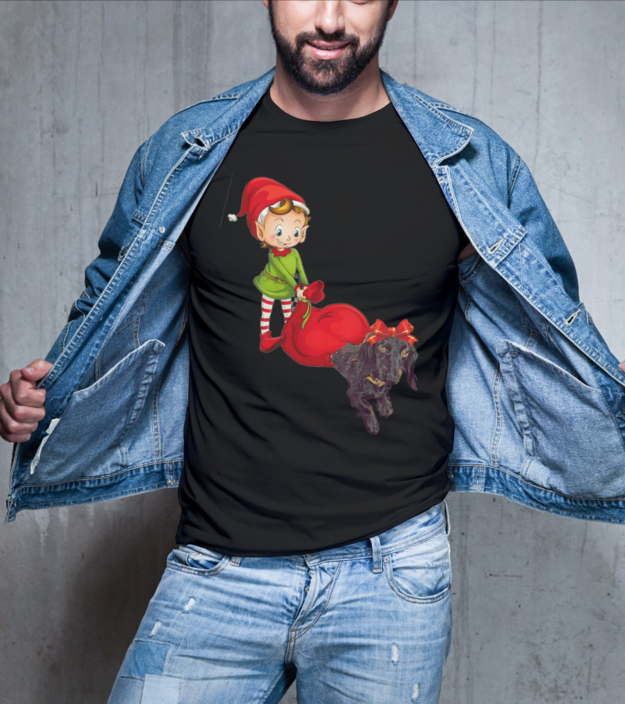 Kids Elf With Red Gift Sack And Black Dog In Santa Hat T-Shirt
