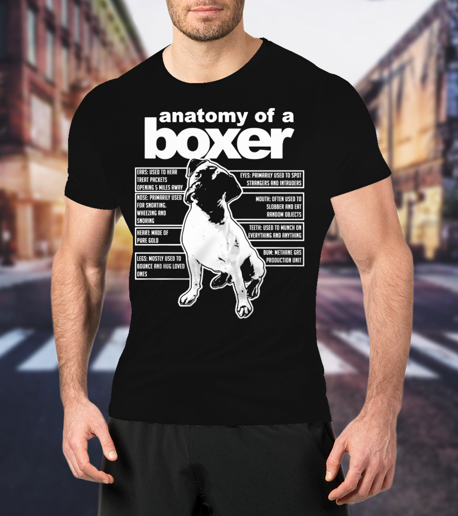 Anatomy Of A Boxer Funny Boxer With Ears Eyes Nose Mouth Heart Legs Teeth Bun T-Shirt