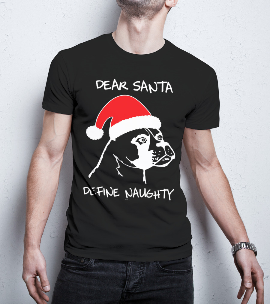 Dear Santa Define Naughty Boxer Funny Ugly Xmas Dog Lovers T-Shirt
