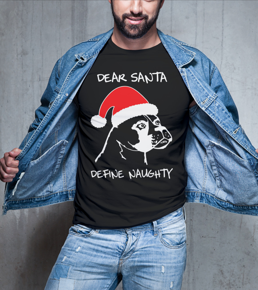Dear Santa Define Naughty Boxer Funny Ugly Xmas Dog Lovers T-Shirt