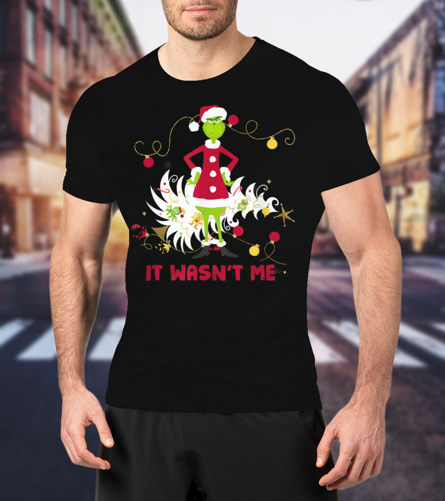 Drseuss The Grinch It Wasn't Me Santa Outfit Holiday Whimsy T-Shirt
