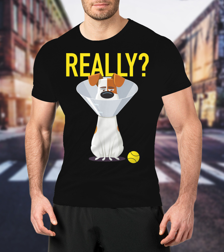 The Secret Life Of Pets 2 Max Really? Ball Cone Collar T-Shirt