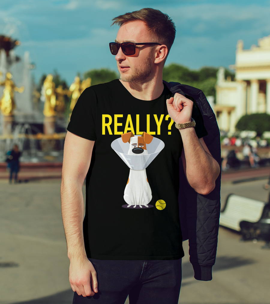 The Secret Life Of Pets 2 Max Really? Ball Cone Collar T-Shirt