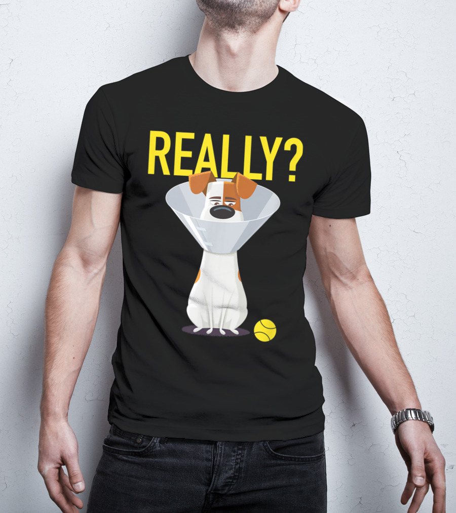 The Secret Life Of Pets 2 Max Really? Ball Cone Collar T-Shirt