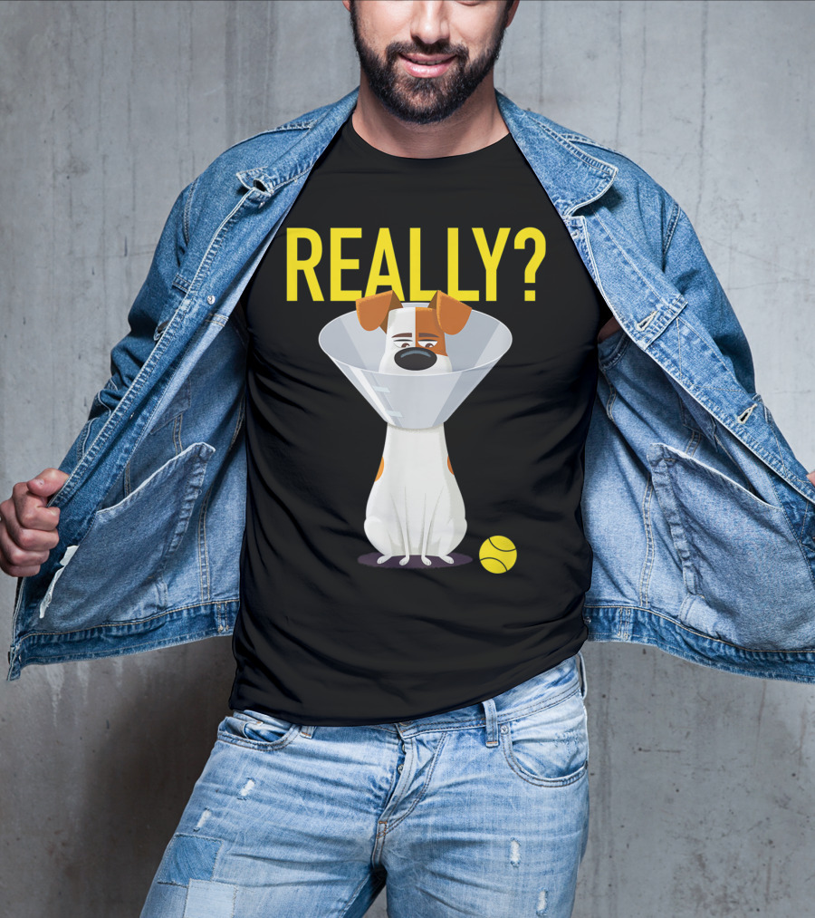 The Secret Life Of Pets 2 Max Really? Ball Cone Collar T-Shirt