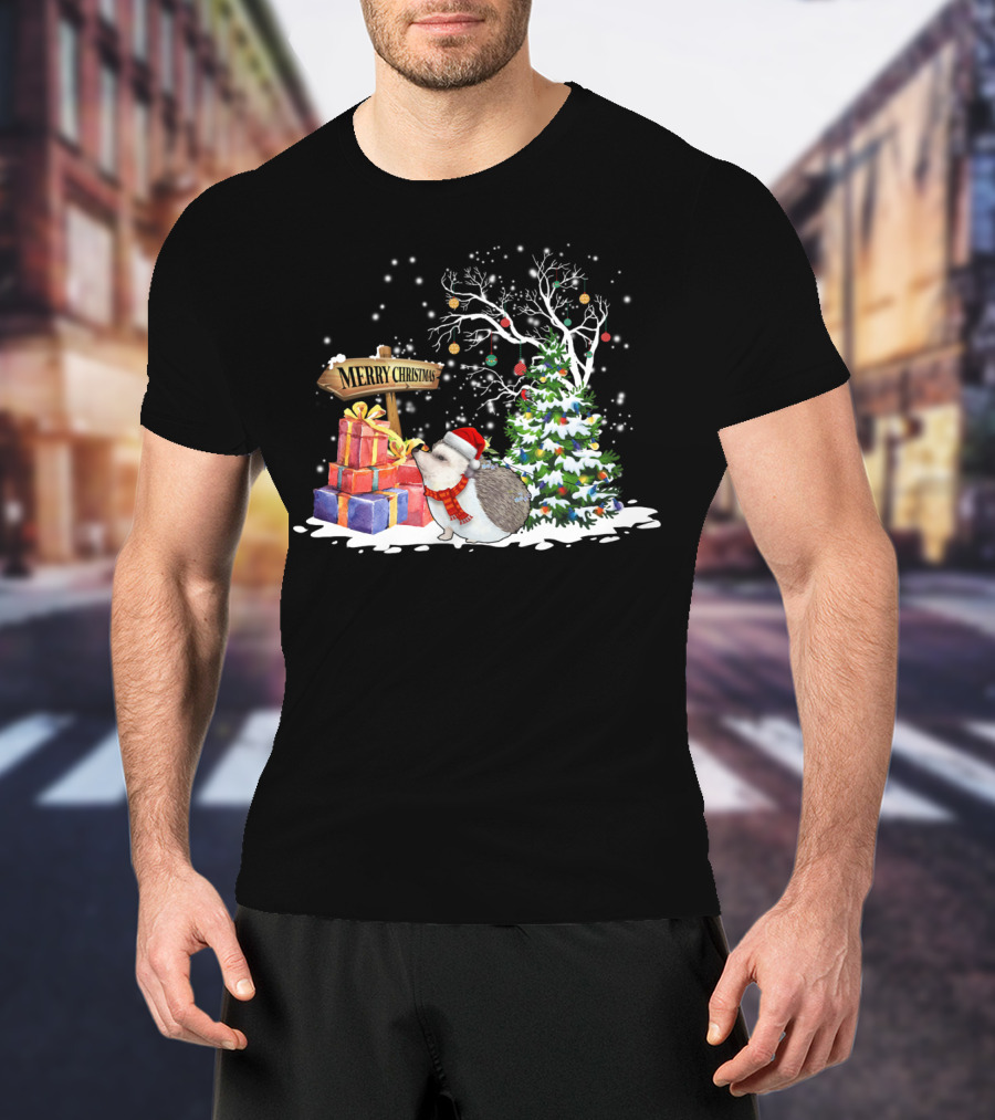 Merry Christmas Funny Hedgehog Santa Christmas Hedgehog Lover T-Shirt