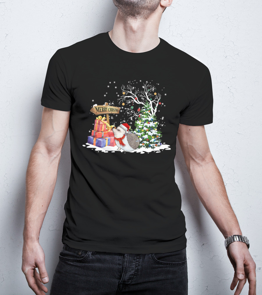 Merry Christmas Funny Hedgehog Santa Christmas Hedgehog Lover T-Shirt