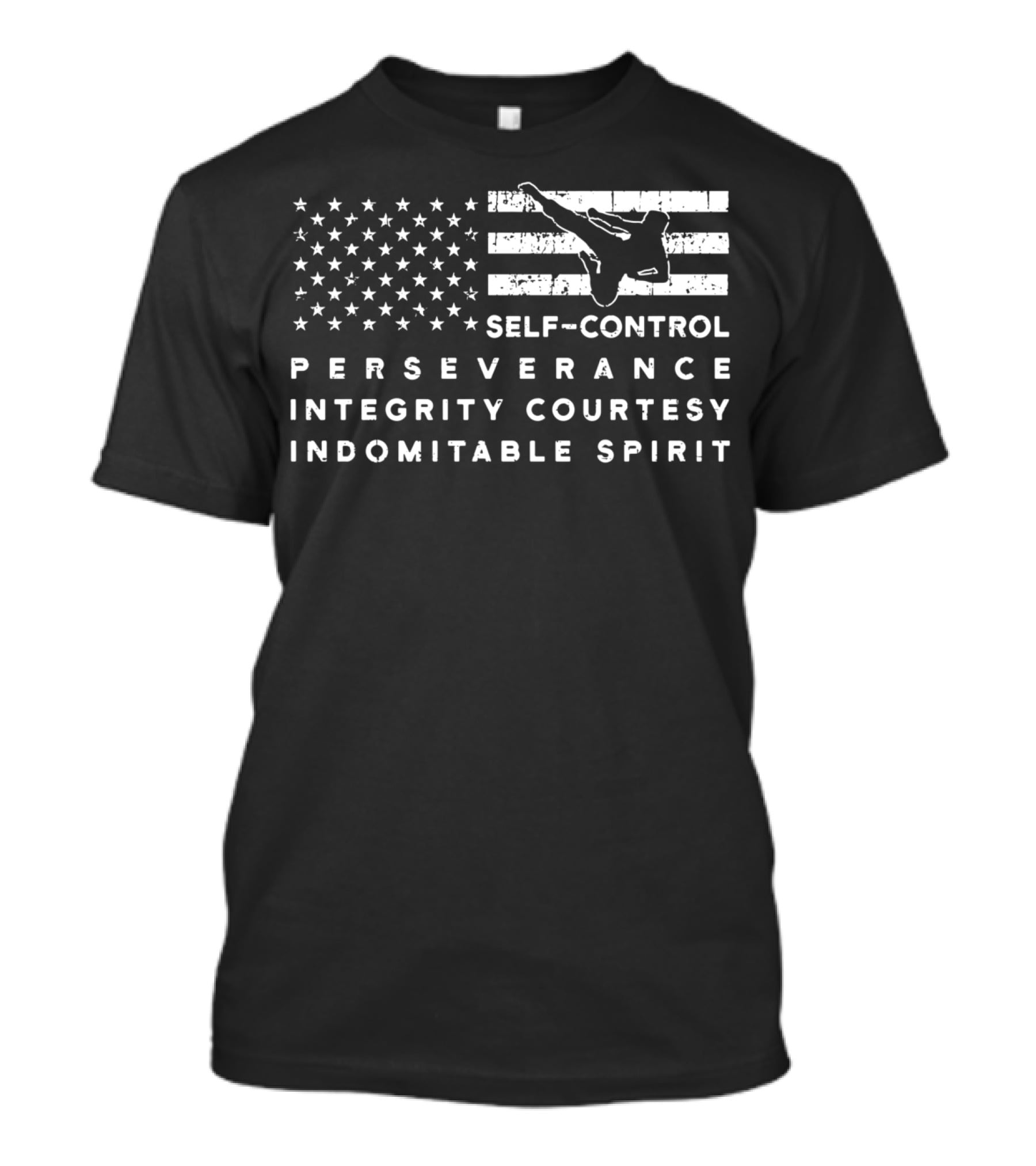 Vintage American Flag Taekwondo Self-Control Perseverance Integrity Courtesy Indomitable Spirit T-Shirt