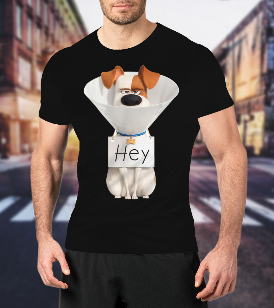 Hey Max Dog Cone Humor T-Shirt