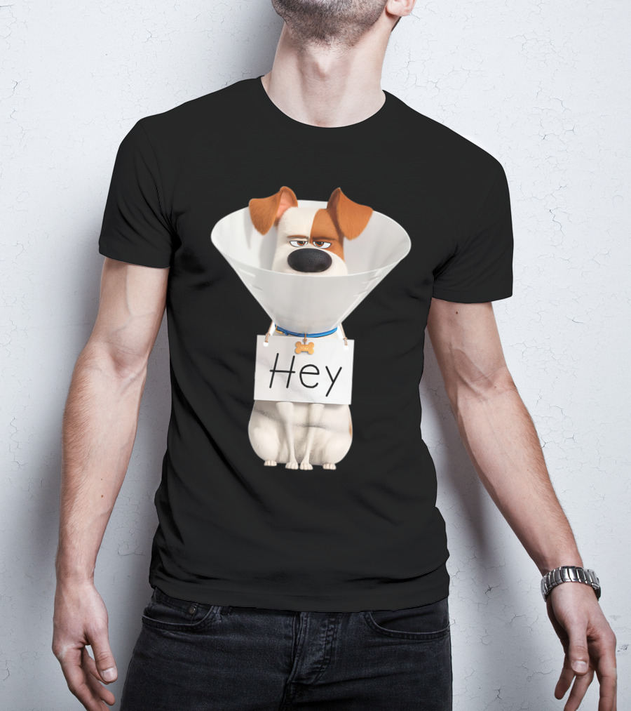 Hey Max Dog Cone Humor T-Shirt