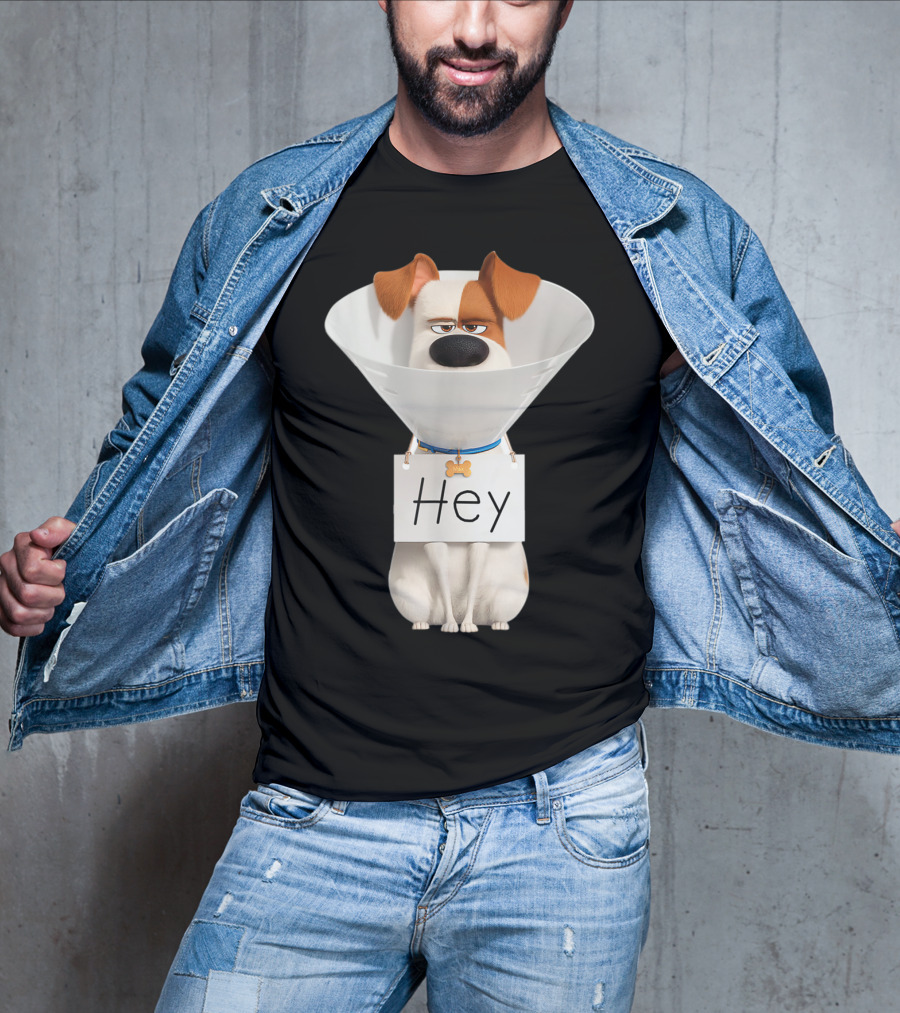 Hey Max Dog Cone Humor T-Shirt