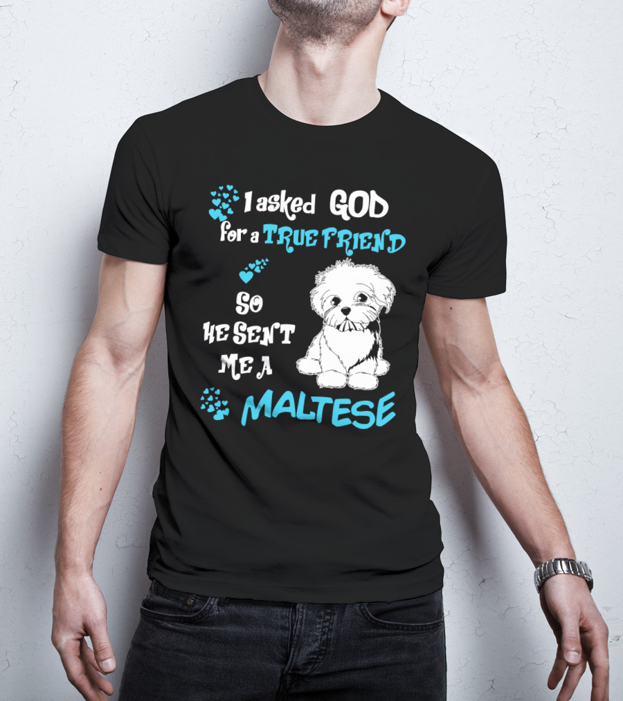 God Sent Me A True Friend Maltese Dog So He Sent Me A Maltese T-Shirt