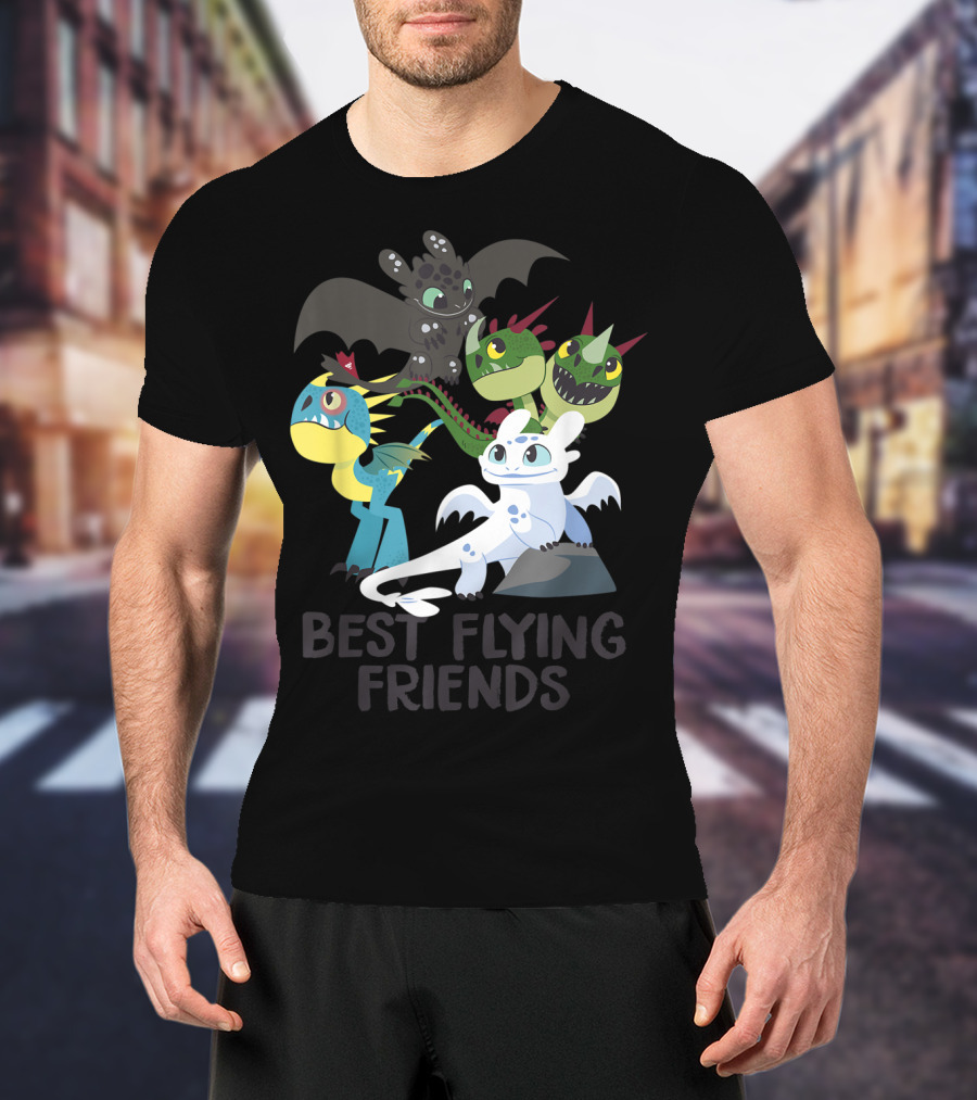 Best Flying Friends How To Train Your Dragon 3 Hidden World T-Shirt